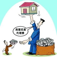 房產(chǎn)中介信息咨詢服務(wù)的價(jià)值與作用